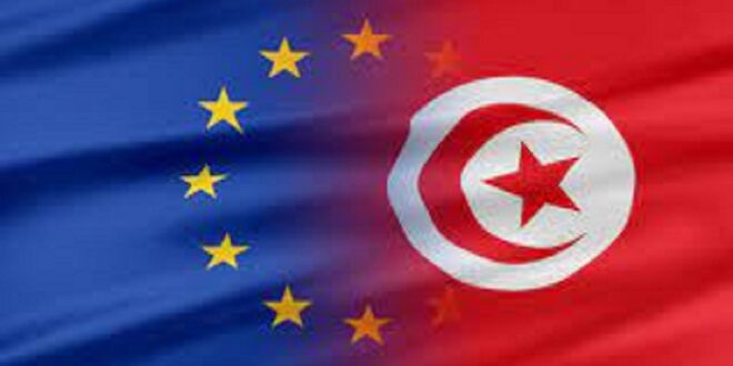 YENİ MAKALE: THE EFFECT OF THE EUROPEAN UNION’S SOUTHERN NEIGHBORHOOD POLICY ON THE TUNISIAN DEMOCRATIZATION PROCESS