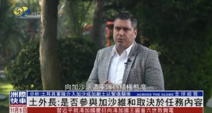 PROF. DR. OZAN ÖRMECİ PHOENIX TV'YE KONUŞTU: TÜRKİYE'NİN GAZZE ULUSLARARASI İSTİKRAR GÜCÜ'NE OLASI KATILIMI